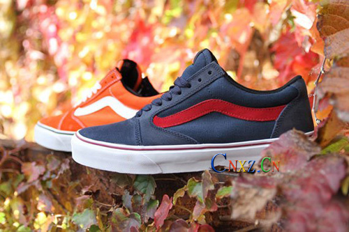 Vans 2011 Holiday TNT 5 ع