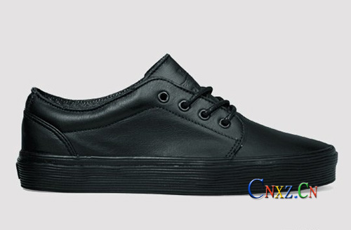 Vans for Iggy Pop 106 Vulcanized Tribute